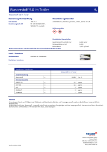 https://hardware-messer.es/documents/1764088/3808593/Wasserstoff_Trailer+5.0_m3.pdf/0f55bf04-f8e9-47cb-06bd-8e079ed28ba5?version=1.0&t=1776356078767&documentThumbnail=1